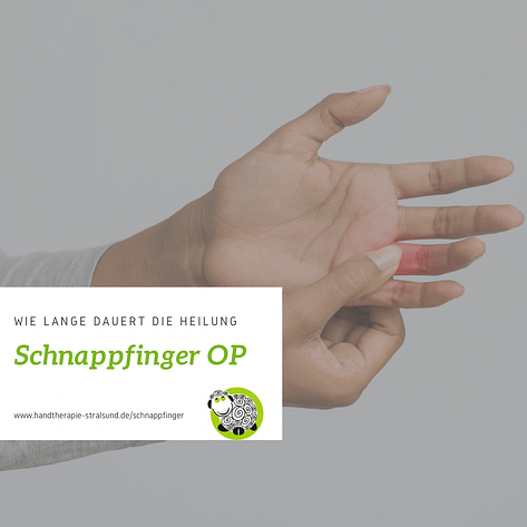 Schnappfinger Schnappfinger